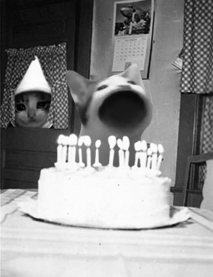 croc x popcat birthday