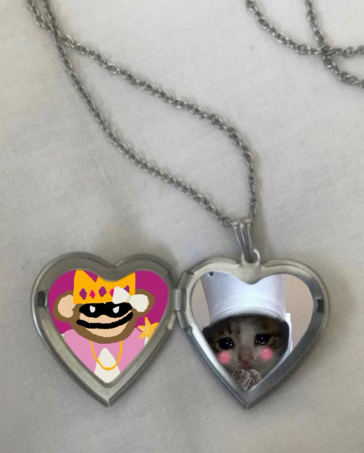 crocxprincesswaluigy locket