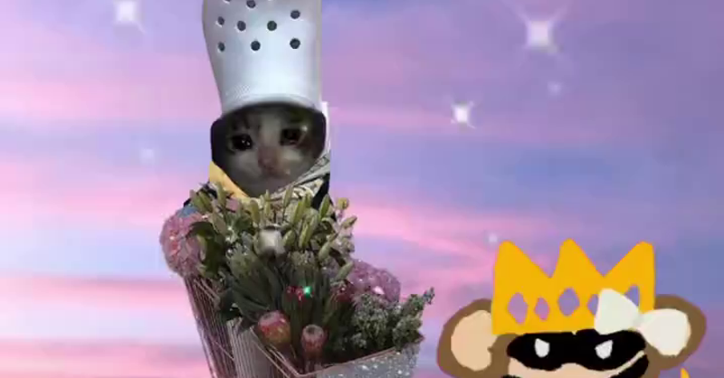 crocxprincesswaluigy flower power