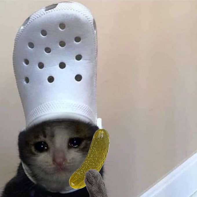 croc pickle
