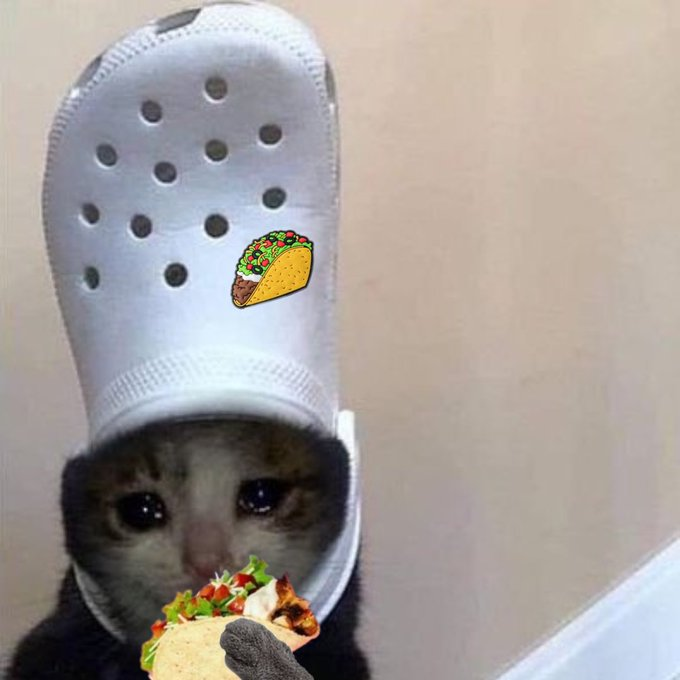 croc eat tacos