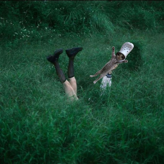madness in grass