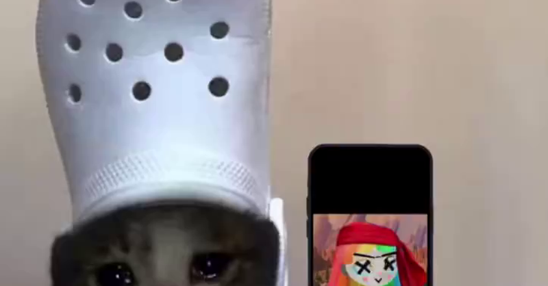 crocxbsol retardio on phone