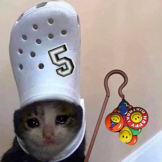 croc 5 months celebration