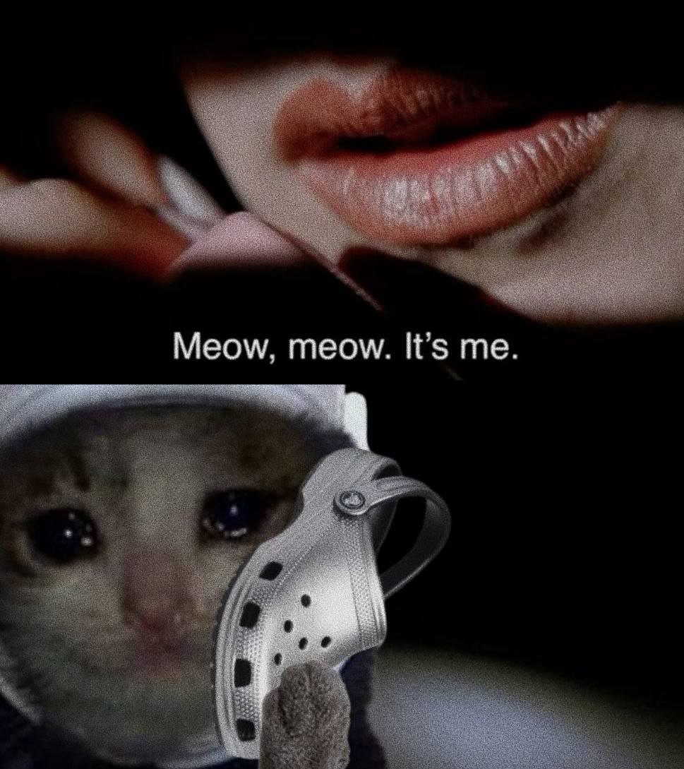meow meow i'm in your hous