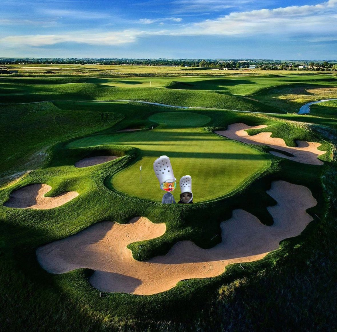 crocxpigeon golf together