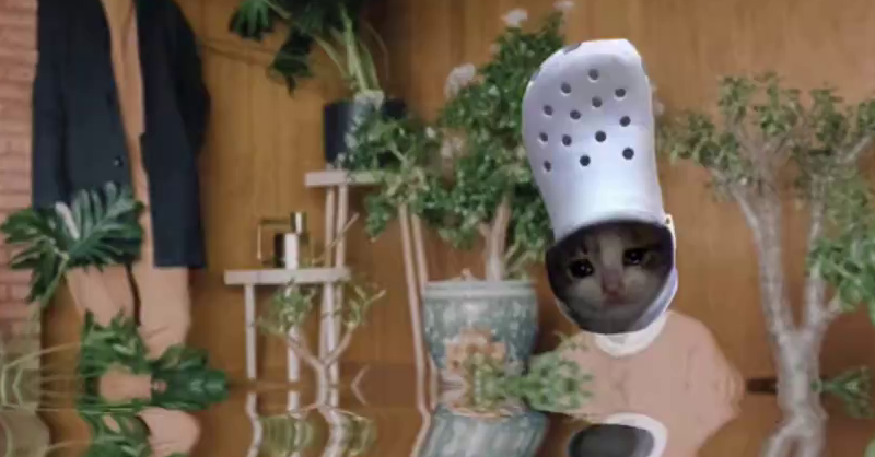 crocxbuddhacoinworld how i feel