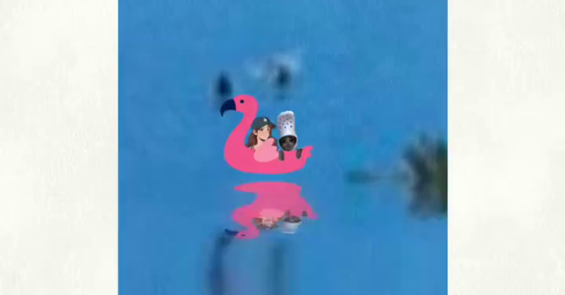 crocxbsol summetime not sadness