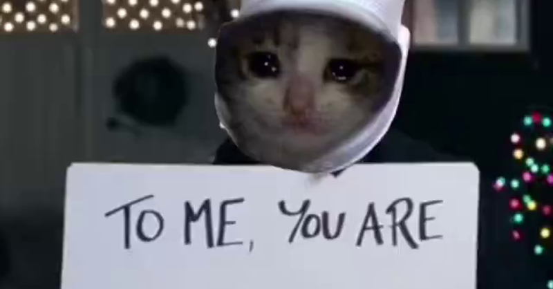 crocxbsol to me you're perfect