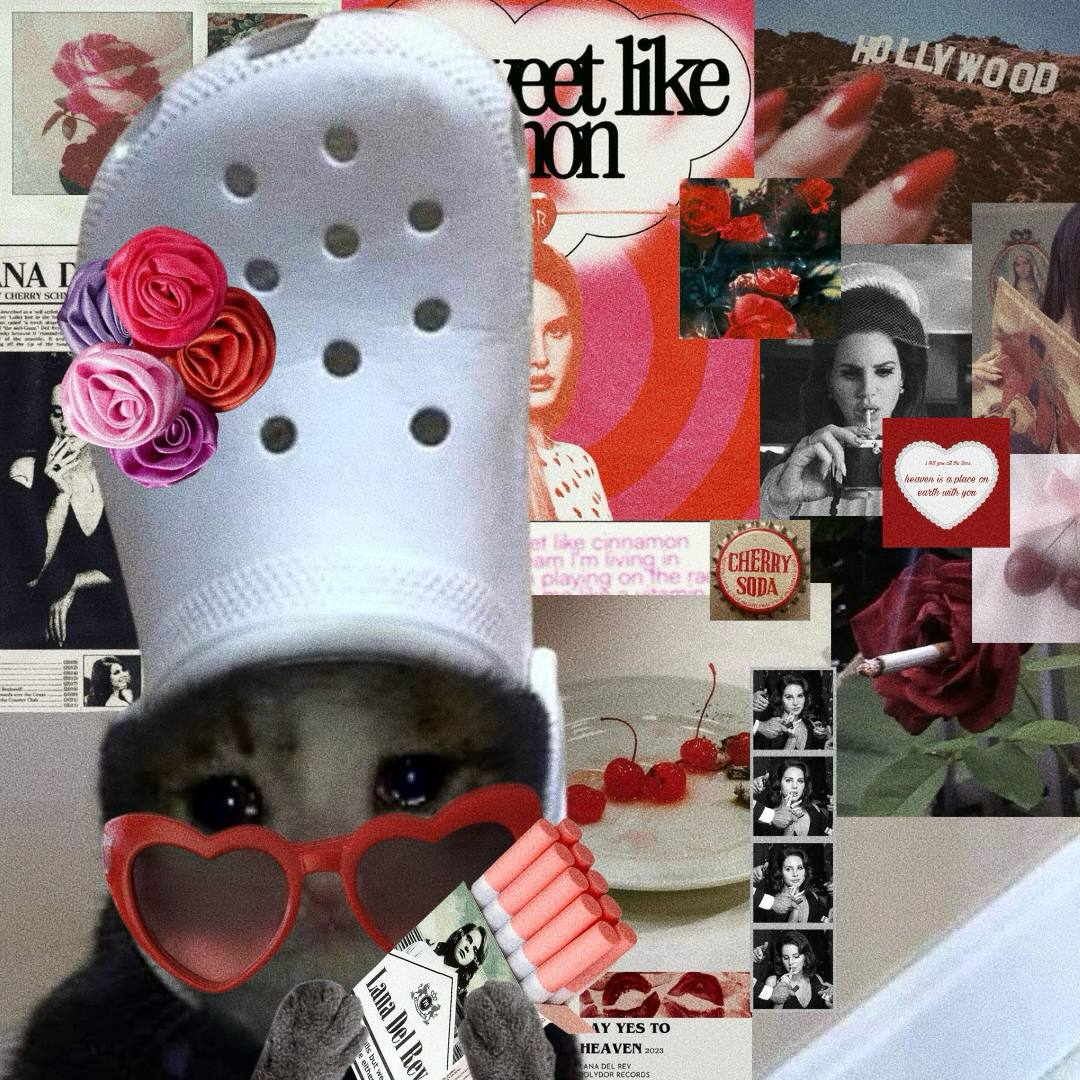 in my lana del rey era