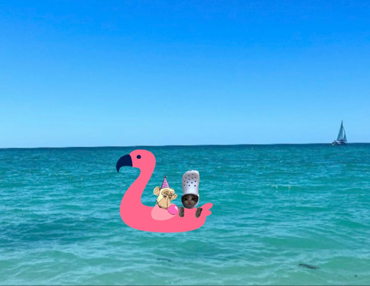 crocxtmas sea