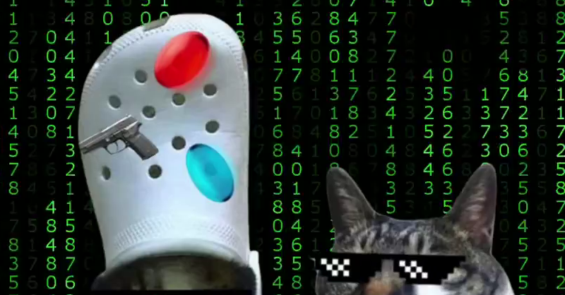 crocxchuchucommunity welcome to the real world - cat world