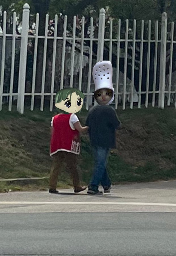 crocxpepedrt walking