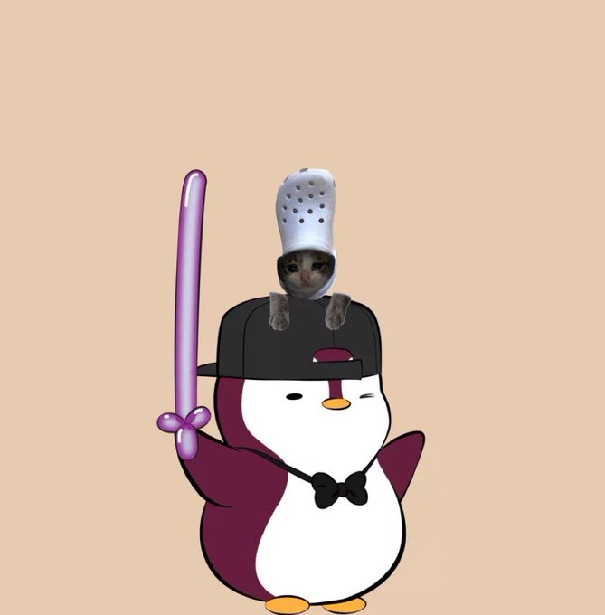 crocxyoungyohns on head