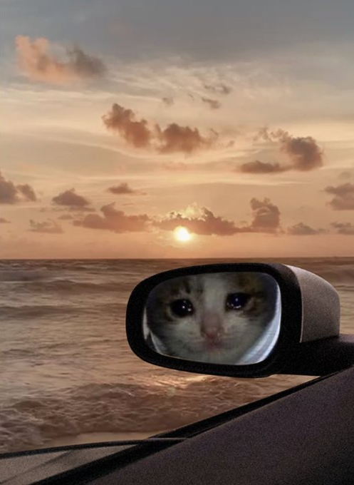 looking back