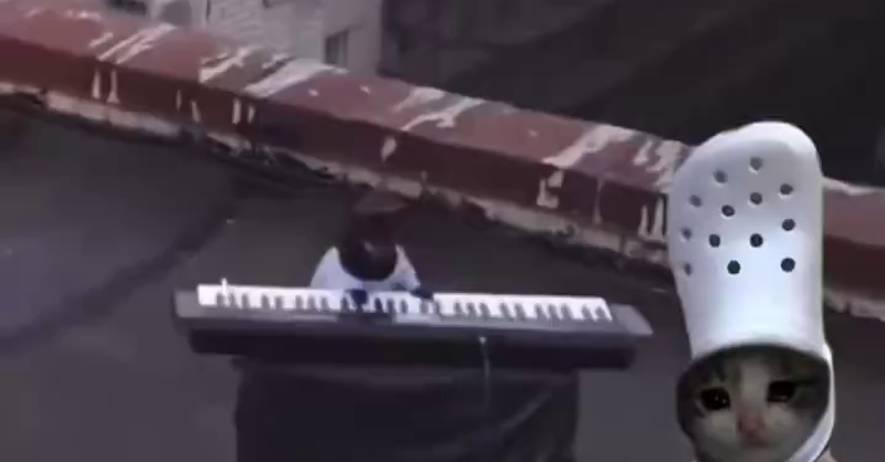 crocxkeydogonsol party