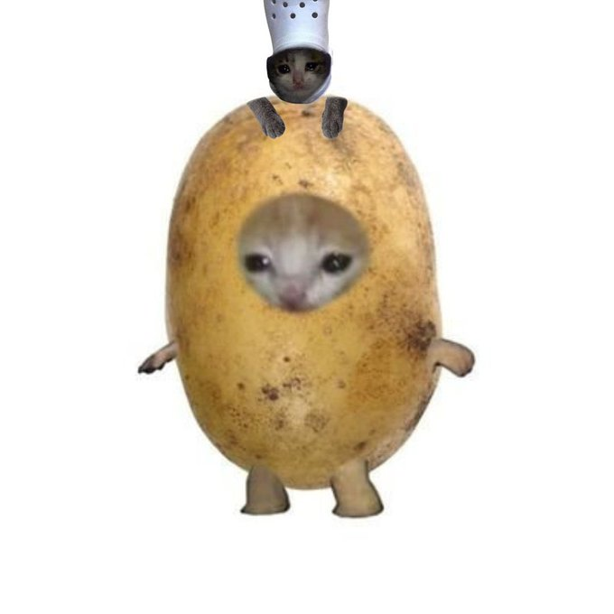 crocxminigangsol potato
