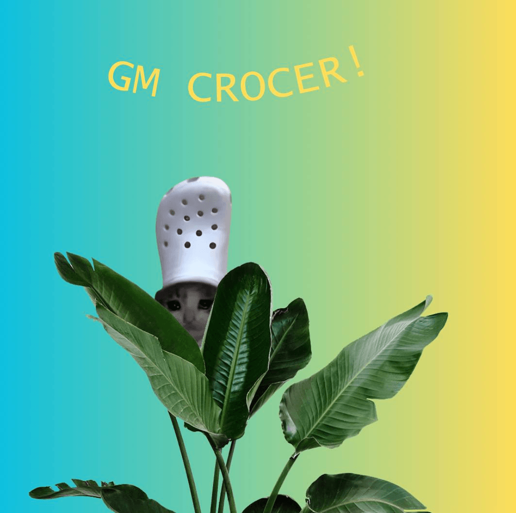 gm crocer