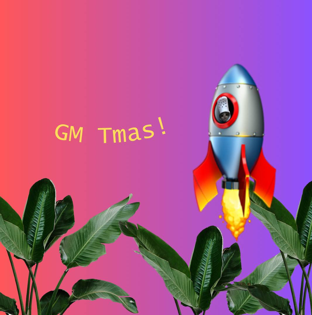 crocxtmas gm gm early