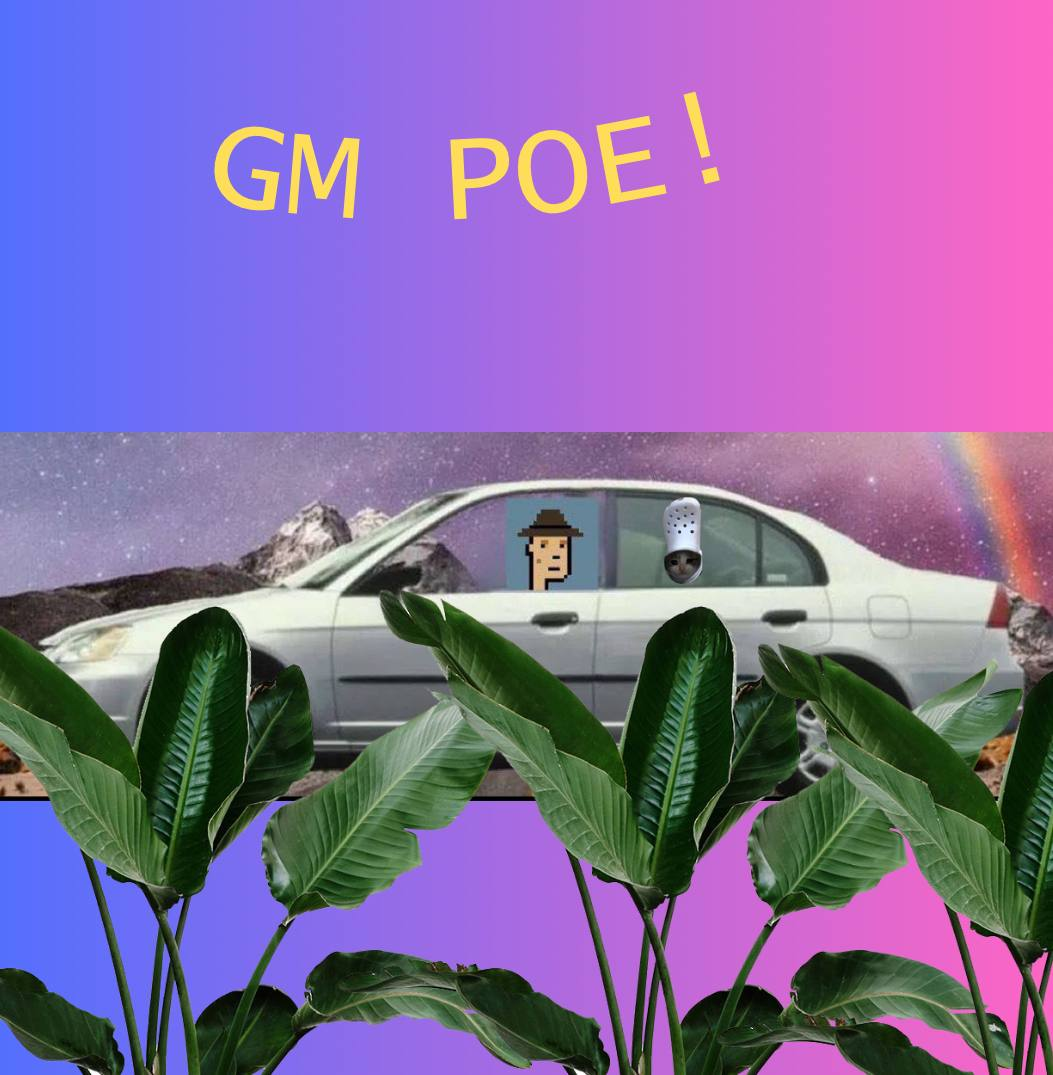 crocxpoereal69 gm