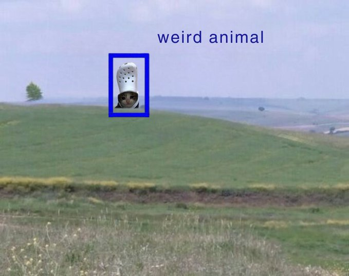 hi / weird animal