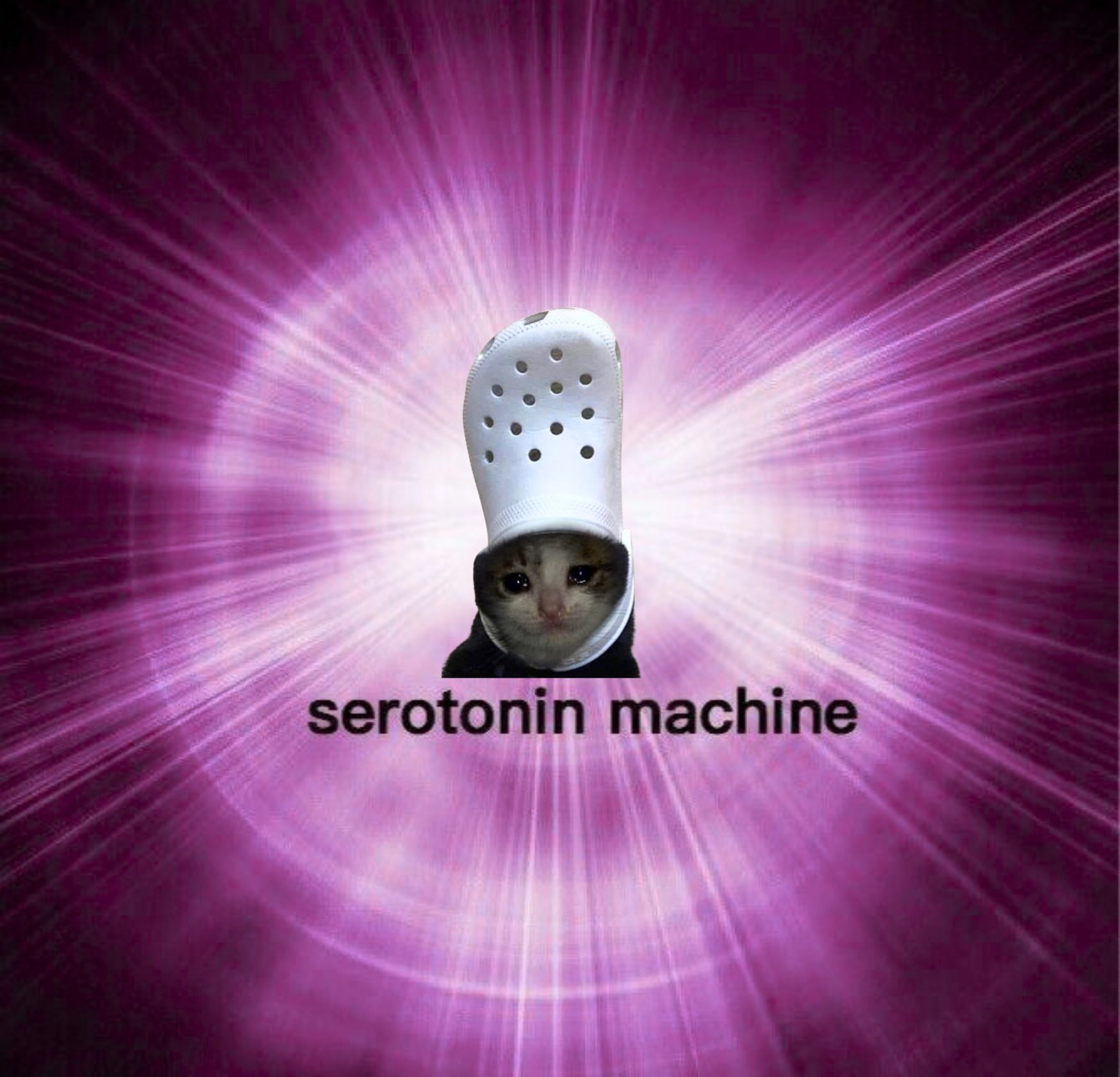 serotonin machine