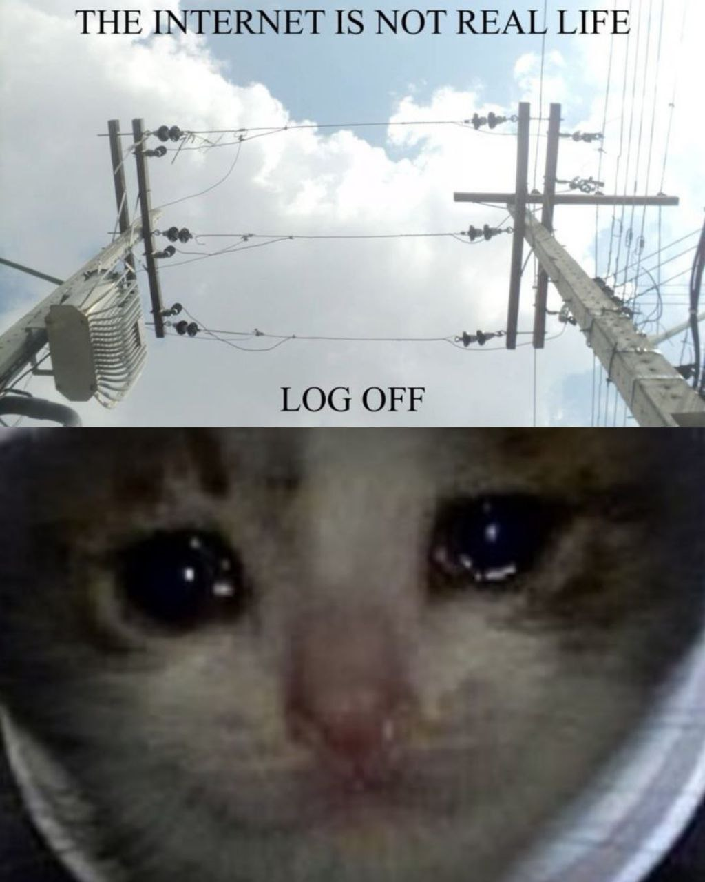 the internet is not real life. log off