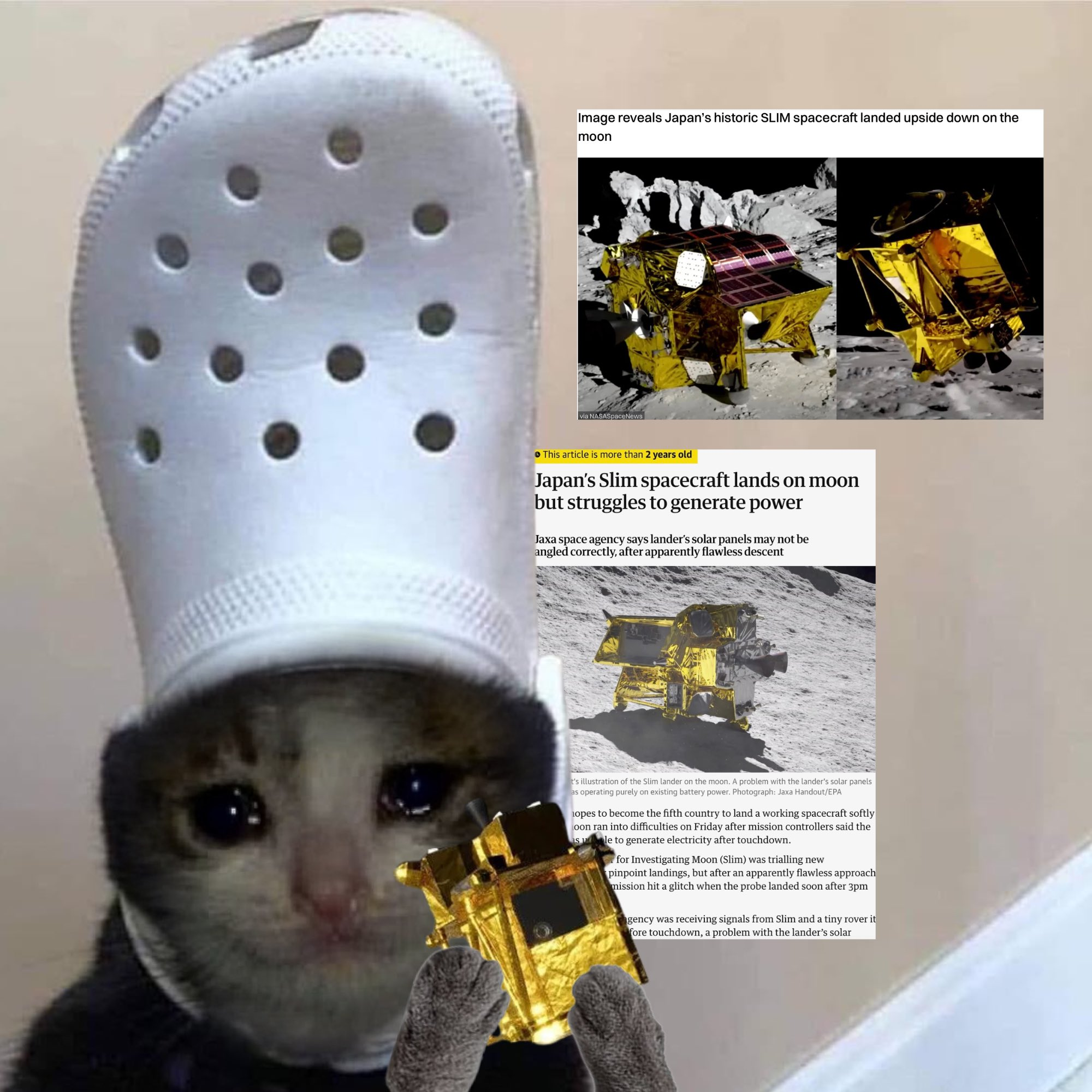 SLIM upside down 🤝 croc cat launched