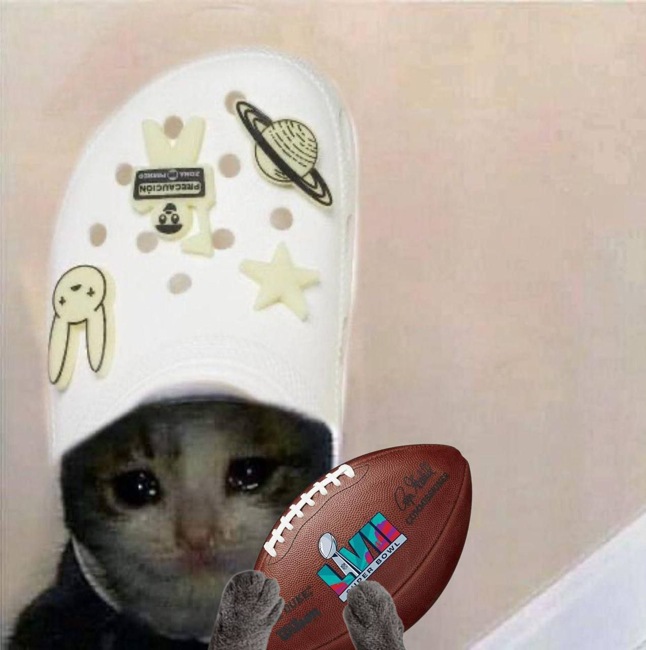 bad bunny superbowl