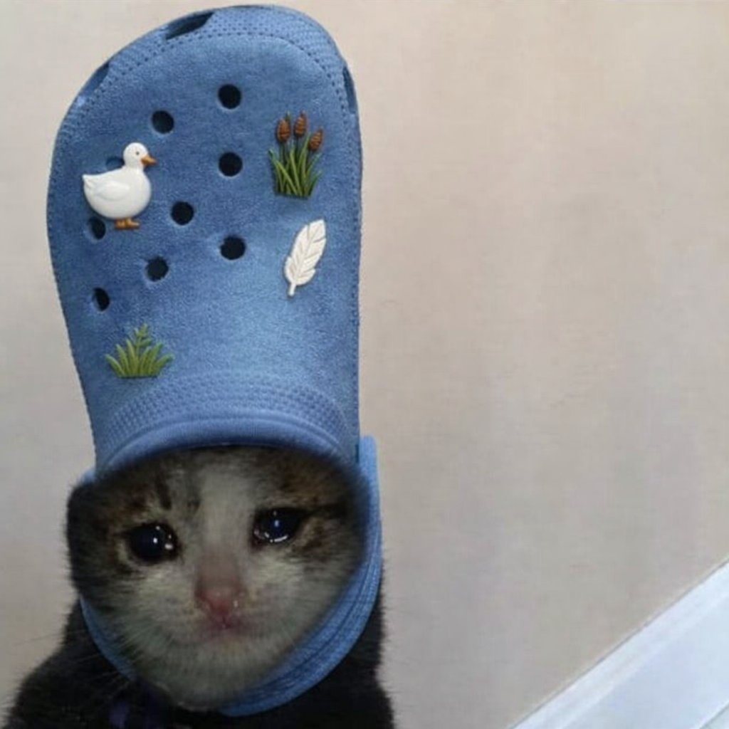 duck gliding through water