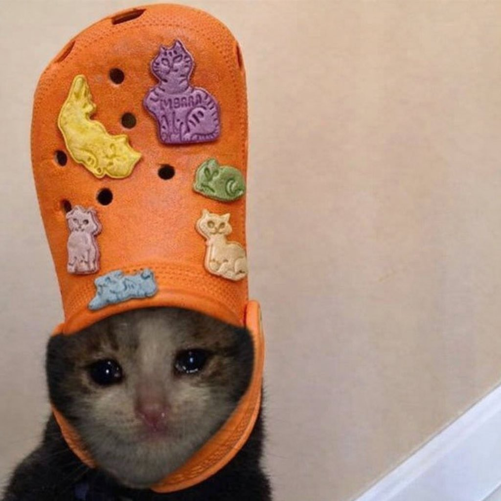 cat cookies good cookies