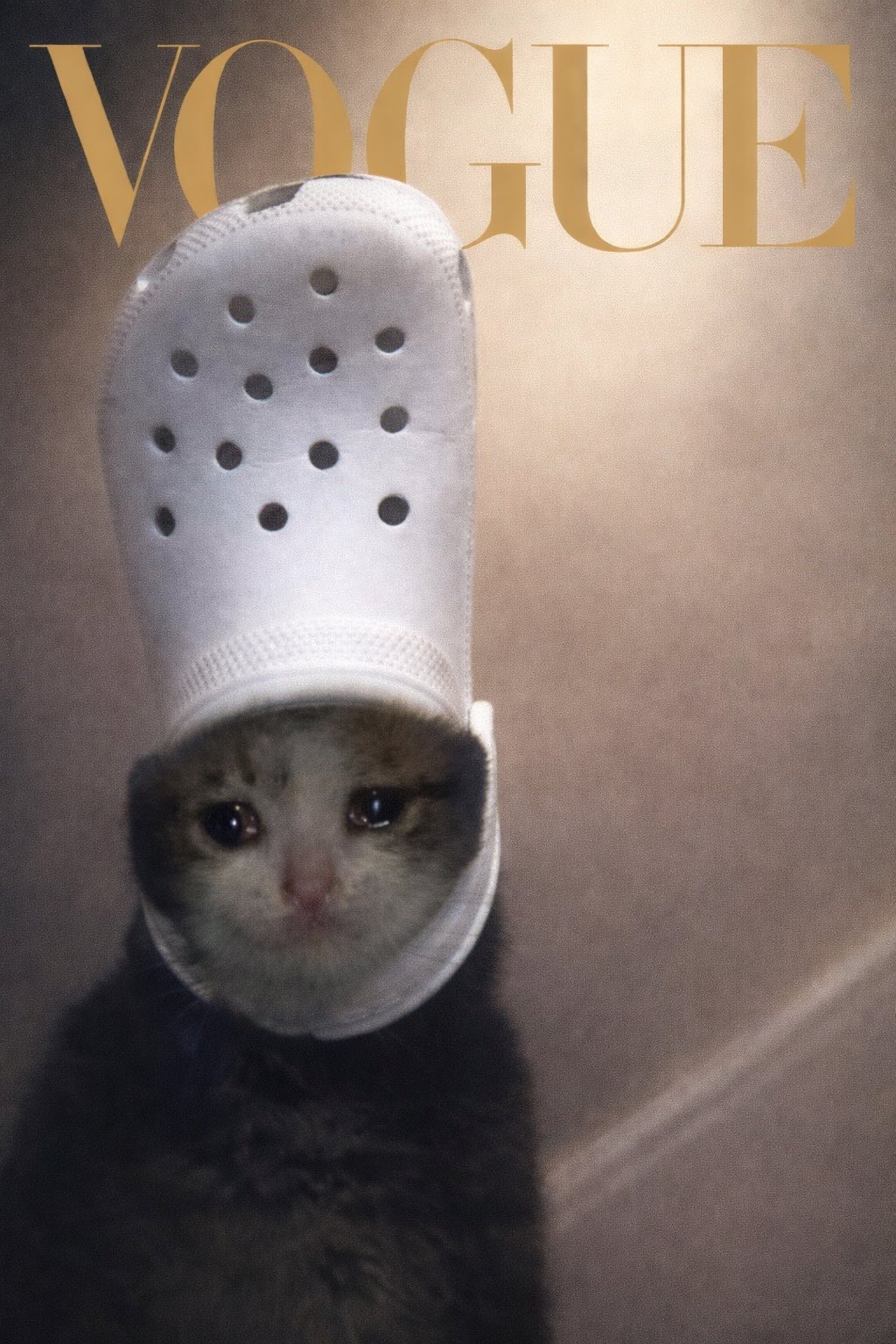 what do you think, vogue?
