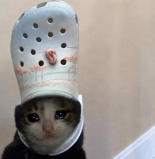 new crocs because of the flamboyance