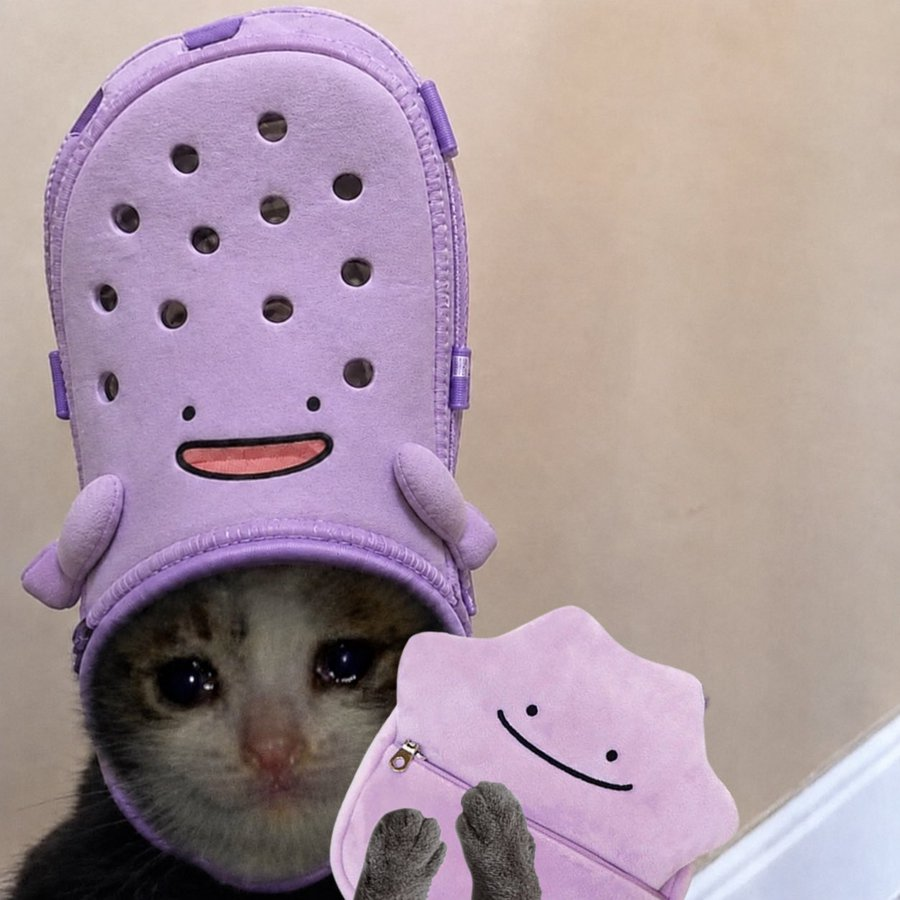 now there are three adorables