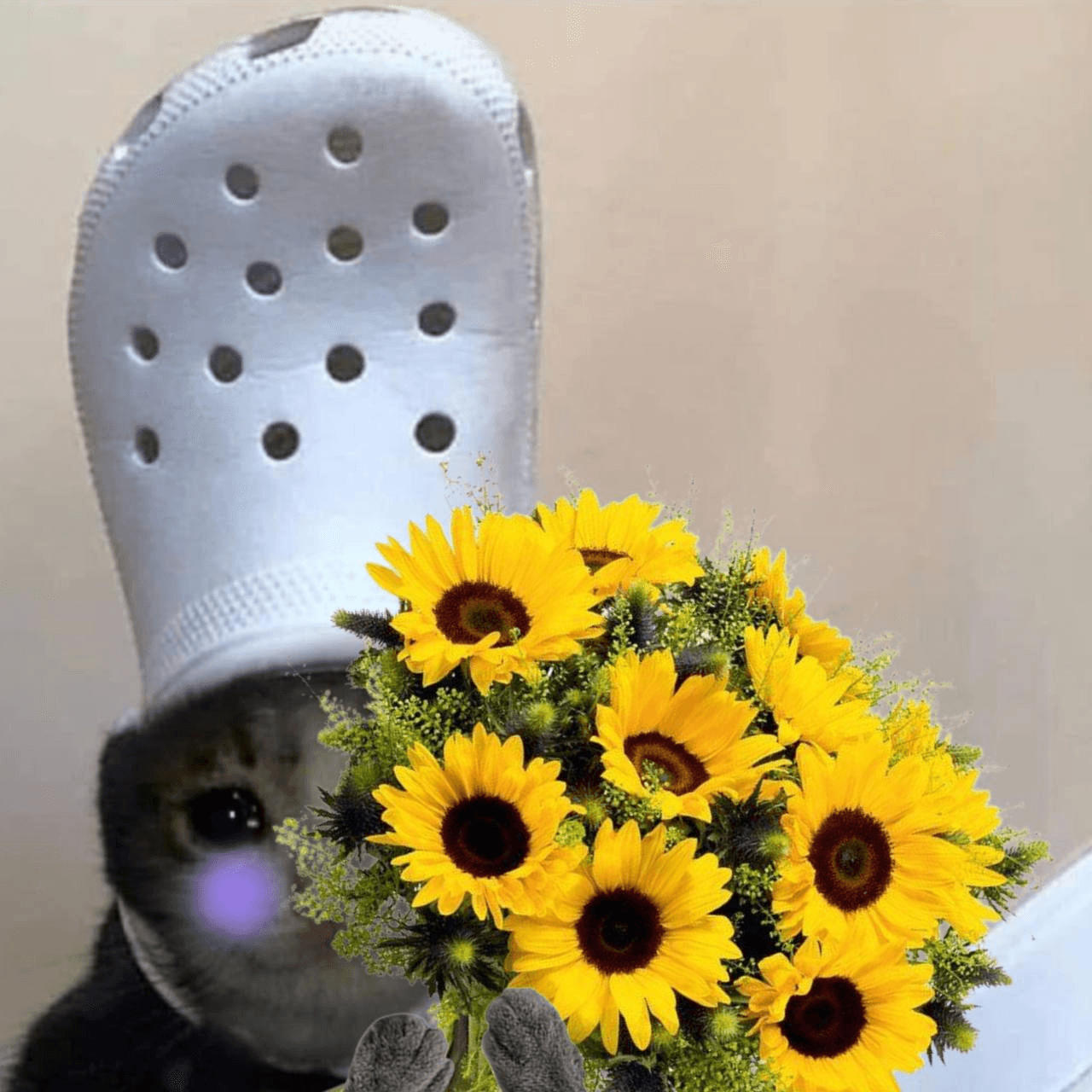 happy birthday solana